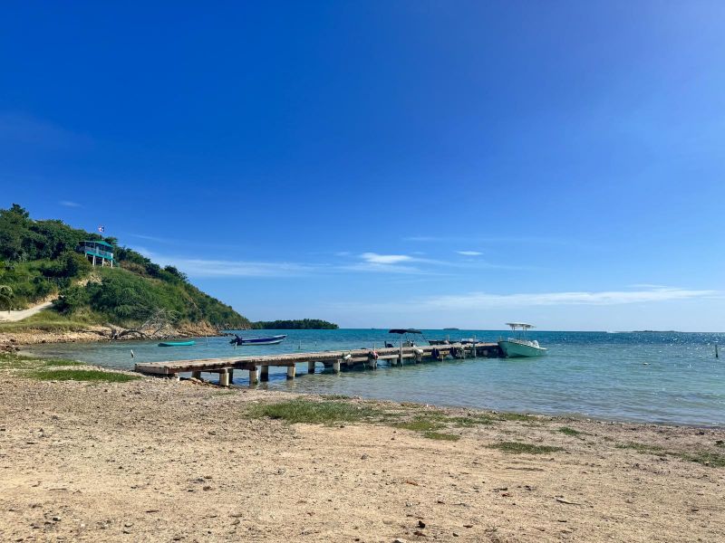 Carr 324 Km 1.9 Int Bo Papayo Lajas 00667 PR