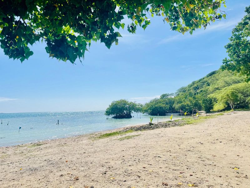 Carr 324 Km 1.9 Int Bo Papayo Lajas 00667 PR