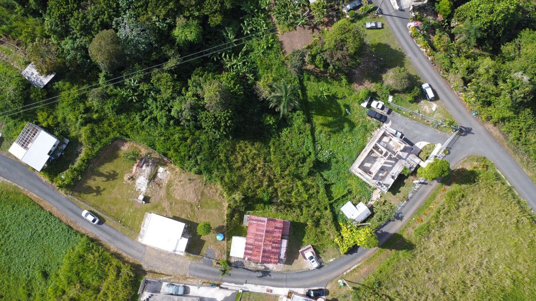 Bo. Quebrada Grande Carr 156 Km Hm 20.6, Barranquitas - 8