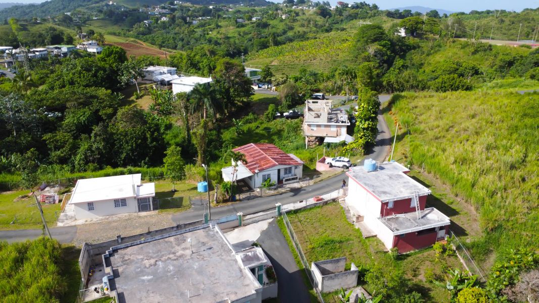Bo. Quebrada Grande Carr 156 Km Hm 20.6, Barranquitas - 2