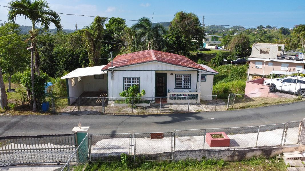 Bo. Quebrada Grande Carr 156 Km Hm 20.6, Barranquitas - 10