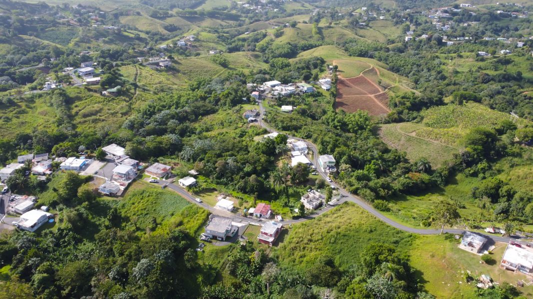 Bo. Quebrada Grande Carr 156 Km Hm 20.6, Barranquitas - 9