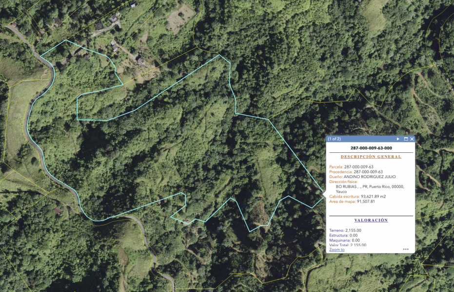 Bo Rubias Carr 3365 Km 2.2, Yauco - 2