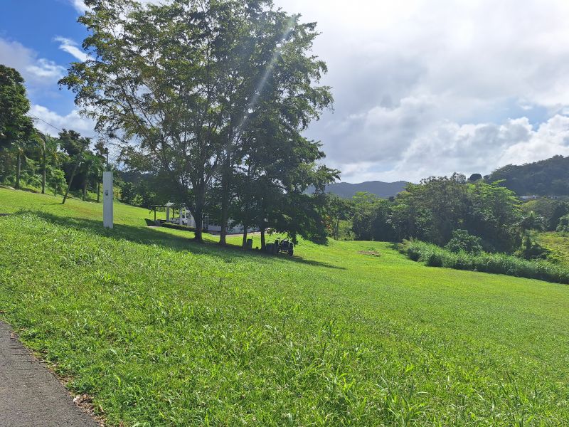 Bo Mabu 198 Av Gregorio Agosto Humacao 00792 PR