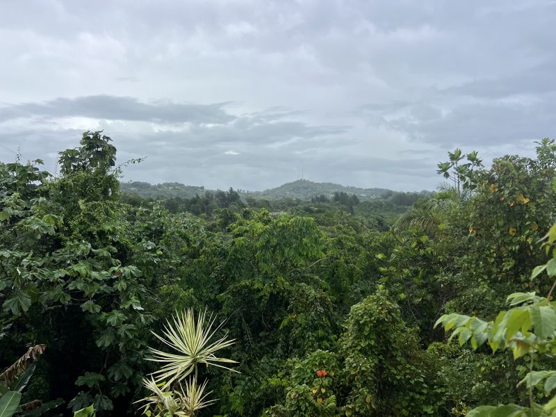 Bo Sabana Grande Sector La Sabana Carr 611 Km 7.2, Utuado - 12
