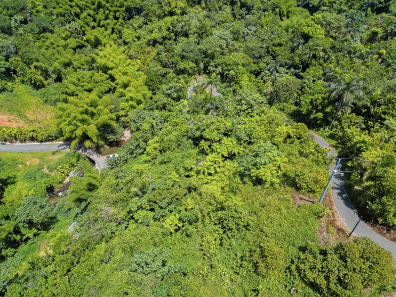 Carretera 124 Km 1.3 Bo. Buena Vista, Las Marias - 12
