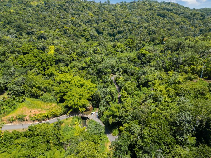 Carretera 124 Km 1.3 Bo. Buena Vista, Las Marias - 10