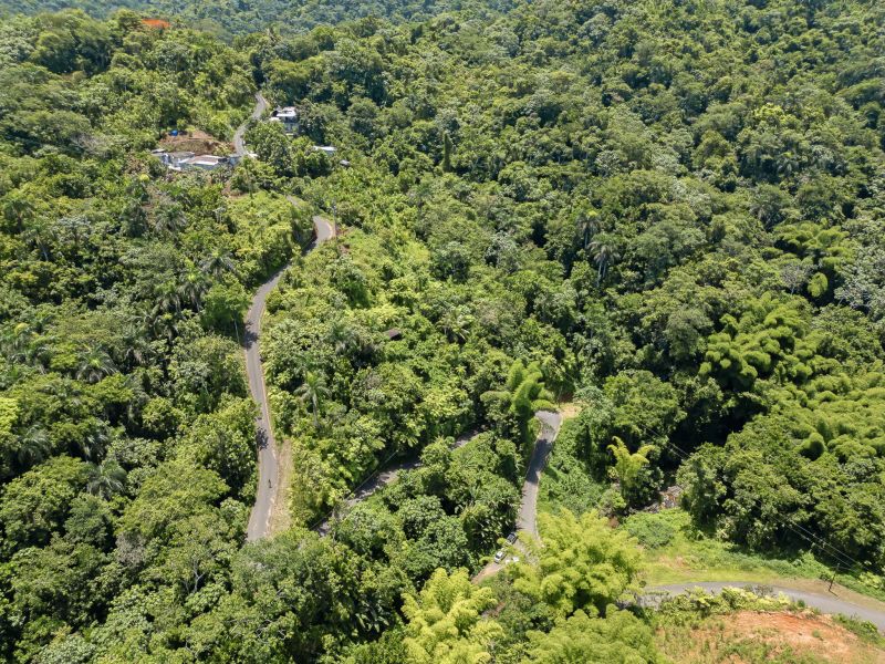 Carretera 124 Km 1.3 Bo. Buena Vista, Las Marias - 15