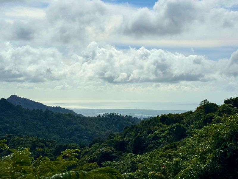 Bo Montes Llanos Carr 505 Km 12.6 Int Sector La Z Ponce 00731 PR