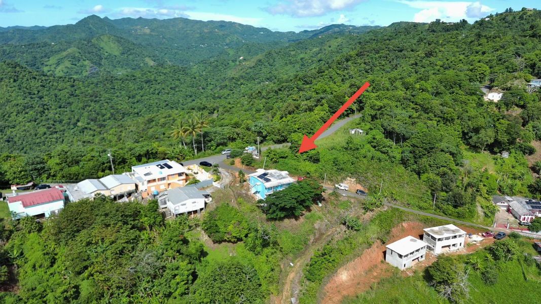 Bo Montes Llanos Carr 505 Km 12.6 Int Sector La Z Ponce 00731 PR