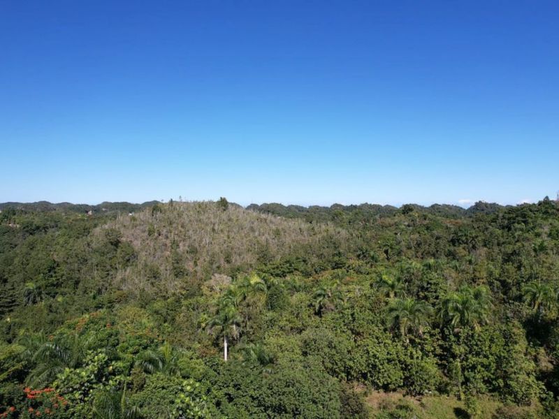 Carr 456 Km 1.3 Bo Guajataca Sect Marcelo Rivera Quebradillas 00678 PR