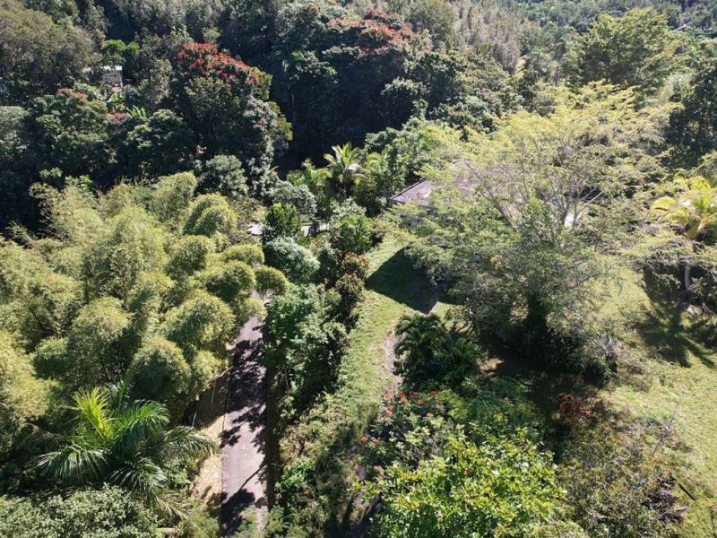 Carr 456 Km 1.3 Bo Guajataca Sect Marcelo Rivera Quebradillas 00678 PR