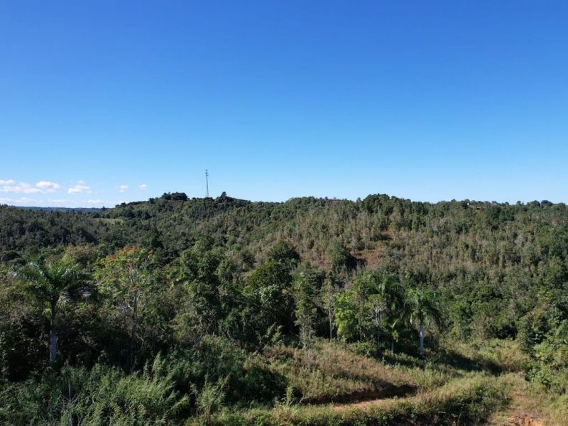 Carr 456 Km 1.3 Bo Guajataca Sect Marcelo Rivera Quebradillas 00678 PR