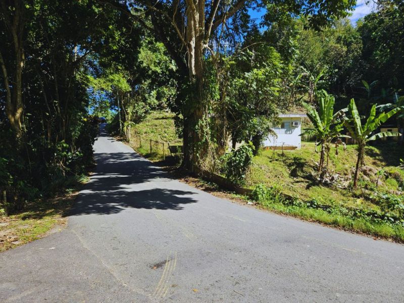 Carr 456 Km 1.3 Bo Guajataca Sect Marcelo Rivera Quebradillas 00678 PR