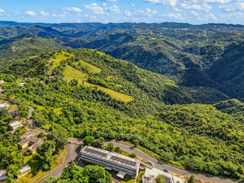 Carr 156 Km 20.1 Interior Bo Honduras Barranquitas 00794 PR