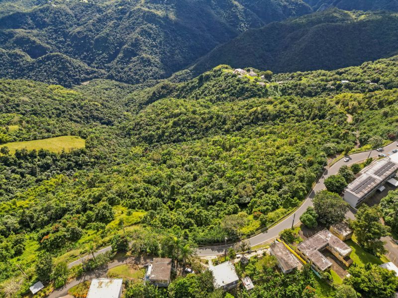 Carr 156 Km 20.1 Interior Bo Honduras Barranquitas 00794 PR
