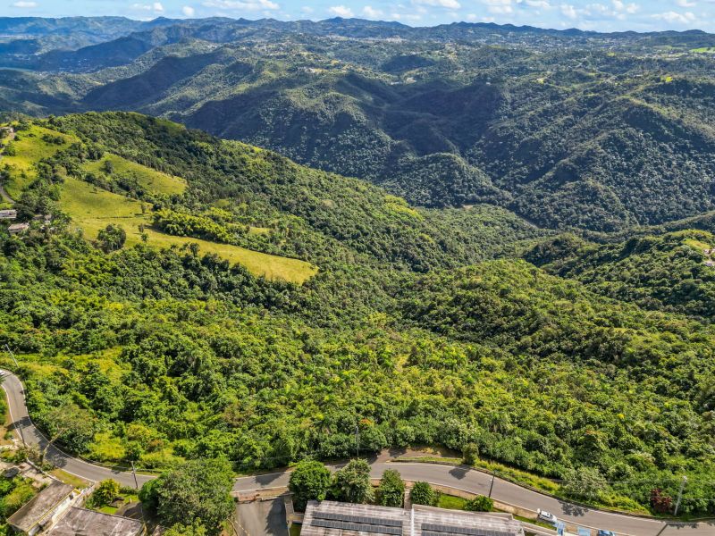 Carr 156 Km 20.1 Interior Bo Honduras Barranquitas 00794 PR