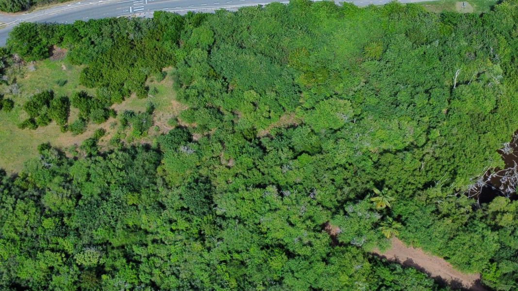 Sr 466 Km 11.7 Bajuras Wd Isabela 00662 PR