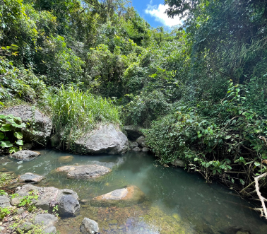 Vista Al Sur 37 Bo Lapa Salinas 00751 PR
