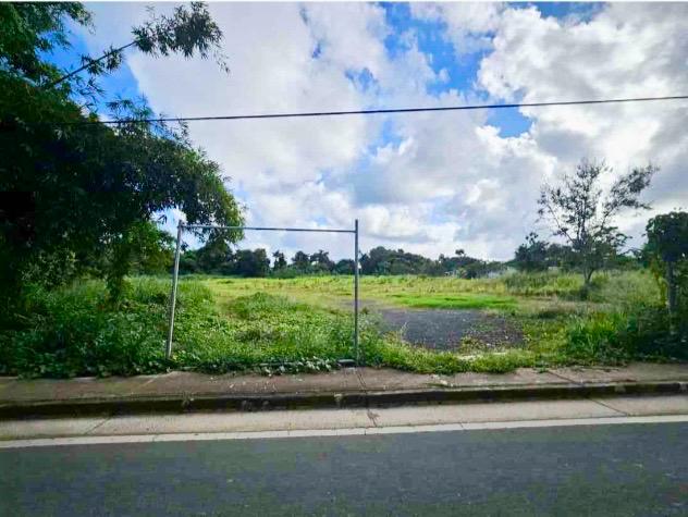 Lote 25 Pr 982 Km 0.4 Las Gaviotas Dev Fajardo 00738 PR