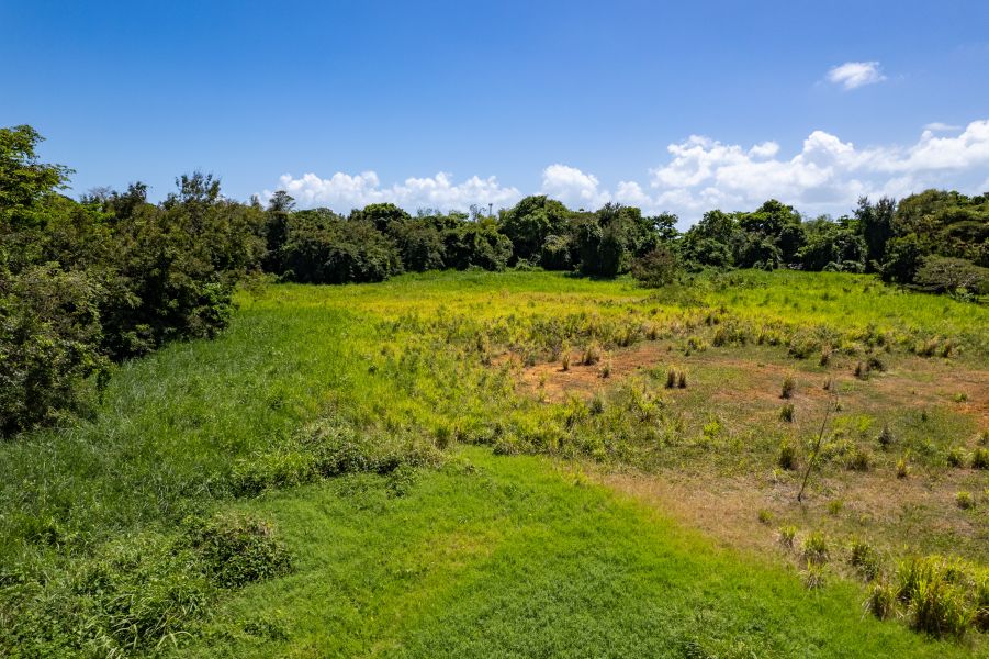 Bo Demajagua Lote 25 Pr 982 Km 0.4 Las Gaviotas De Fajardo 00738 PR