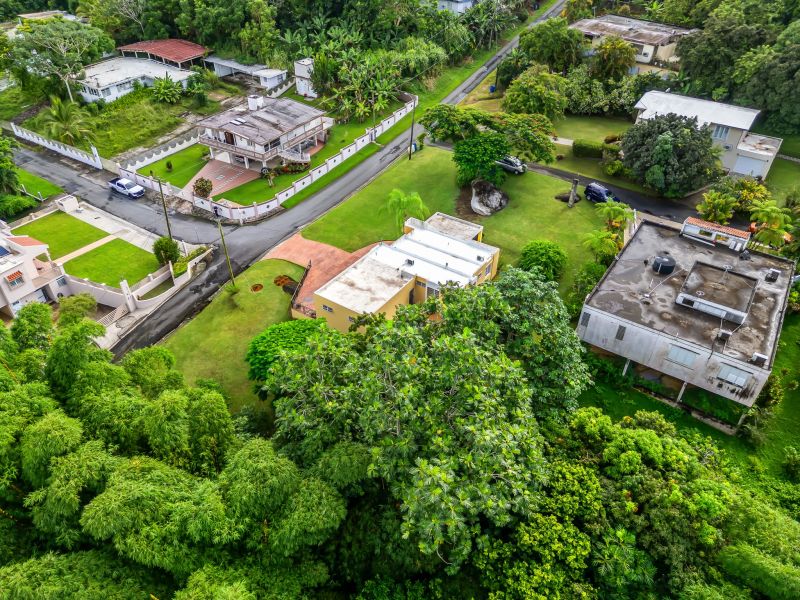 Carr 921 Km 4.4 Bo Tejas Las Piedras 00771 PR