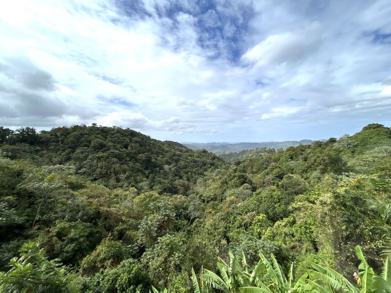Bo Aguas Blancas Carr 372 Km 11.7 Yauco 00698 PR