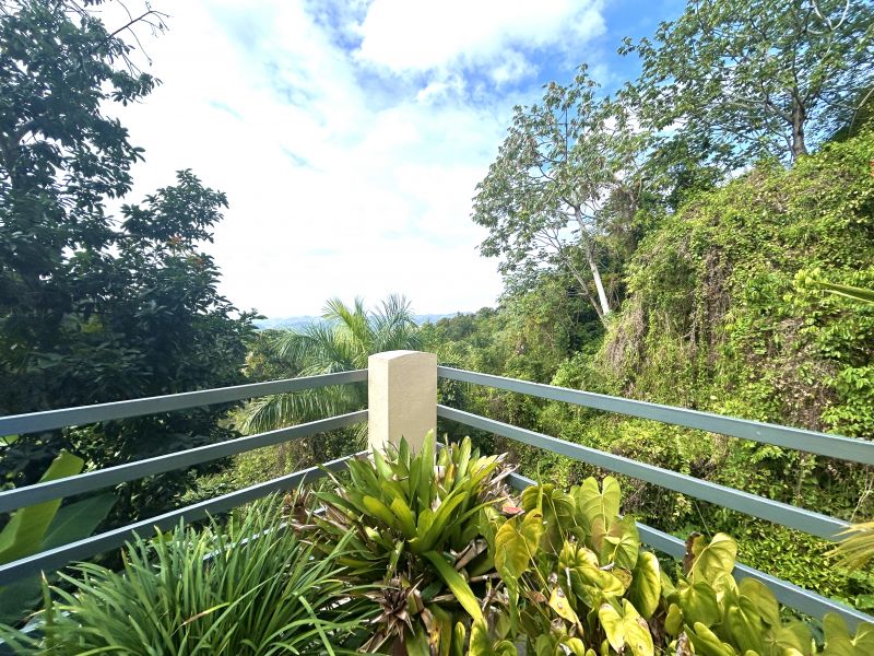 Bo Aguas Blancas Carr 372 Km 11.7 Yauco 00698 PR