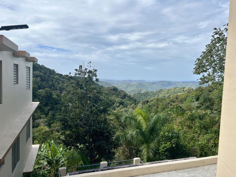 Bo Aguas Blancas Carr 372 Km 11.7 Yauco 00698 PR