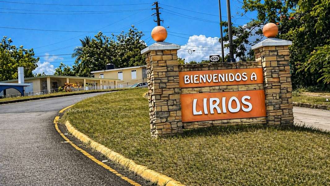 Bo Lirios Sec Los Cocos Ii Juncos 00777 PR