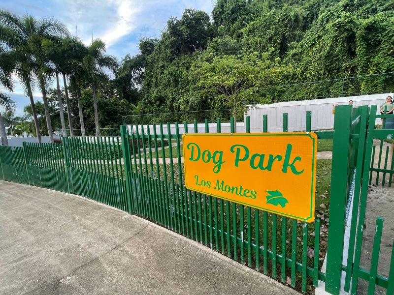Urb Los Montes 326 Calle Alondra Dorado 00646 PR