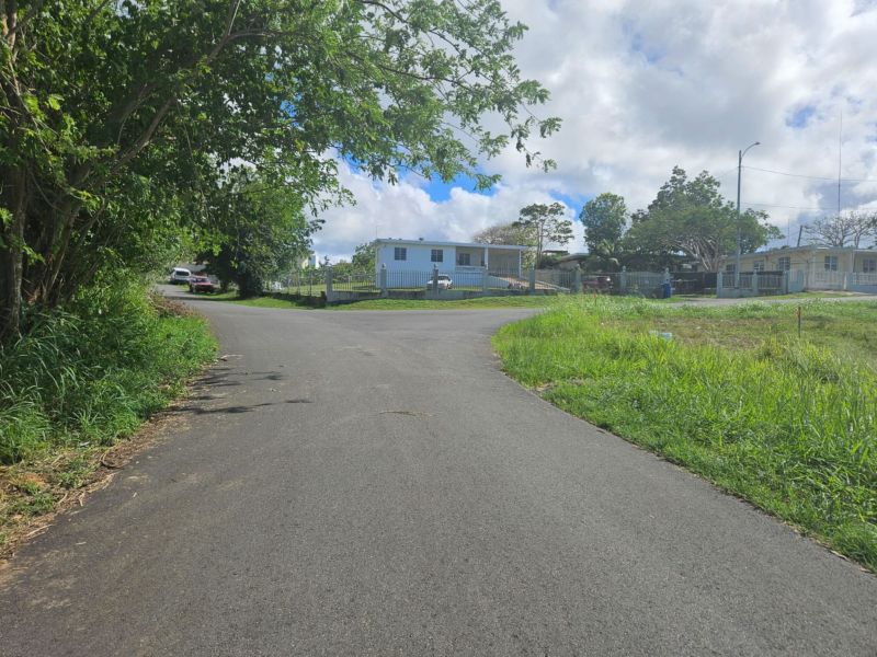 Calle Bromela Bo Guayabo Isabela 00662 PR