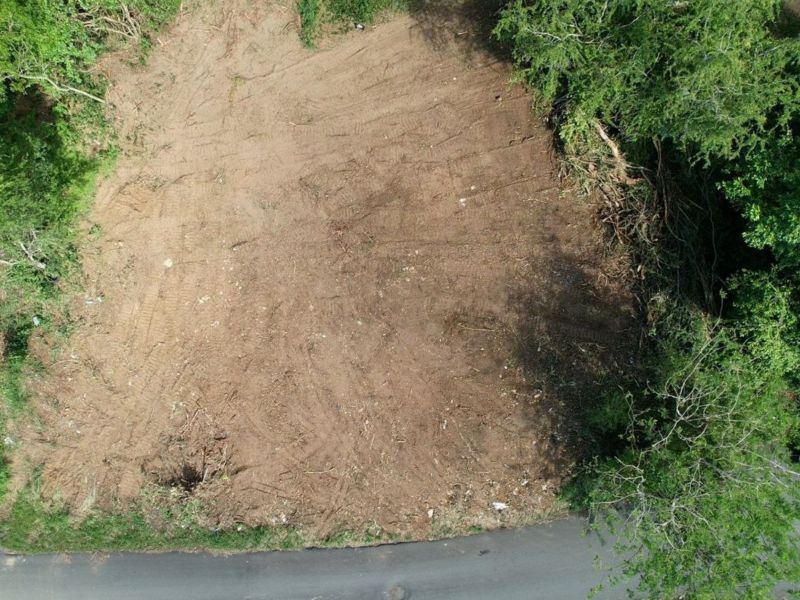 Calle Bromela Bo Guayabo Isabela 00662 PR