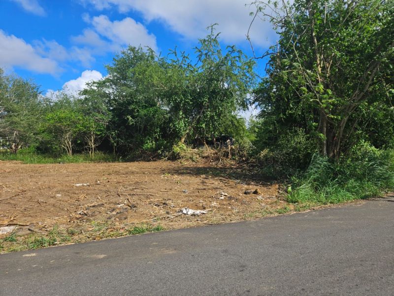 Calle Bromela Bo Guayabo Isabela 00662 PR