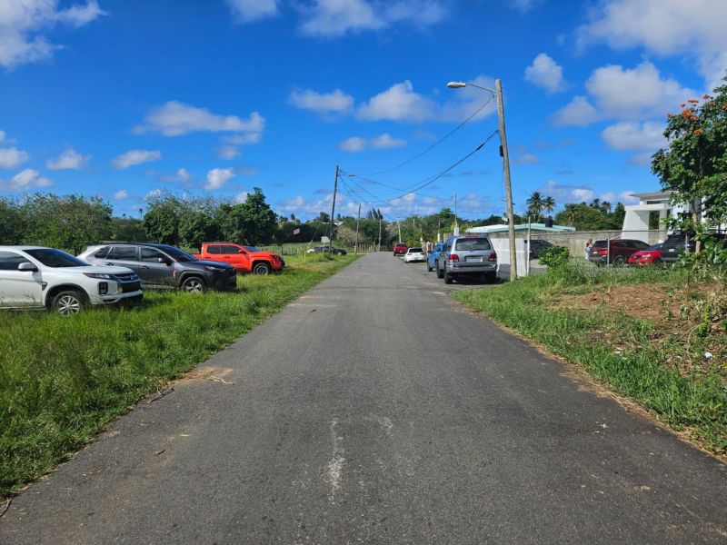 Calle Bromela Bo Guayabo Isabela 00662 PR