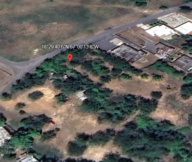 Calle Bromela Bo Guayabo Isabela 00662 PR