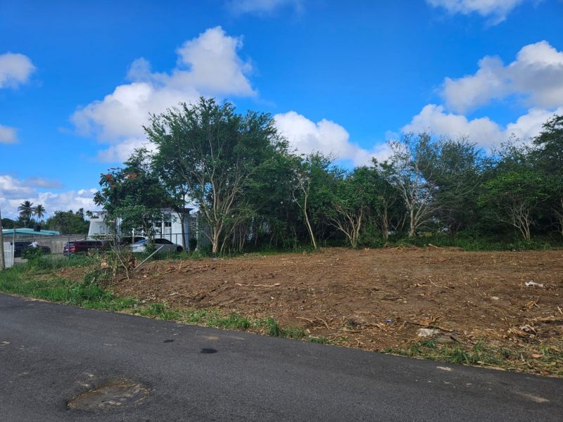Calle Bromela Bo Guayabo Isabela 00662 PR