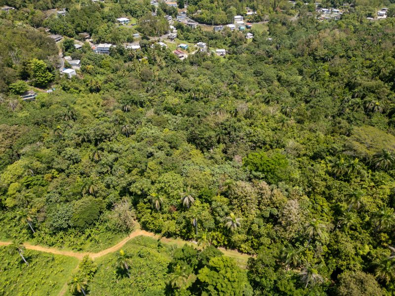 Bo Galateo Carr 165 Km 7.3 Toa Alta 00953 PR