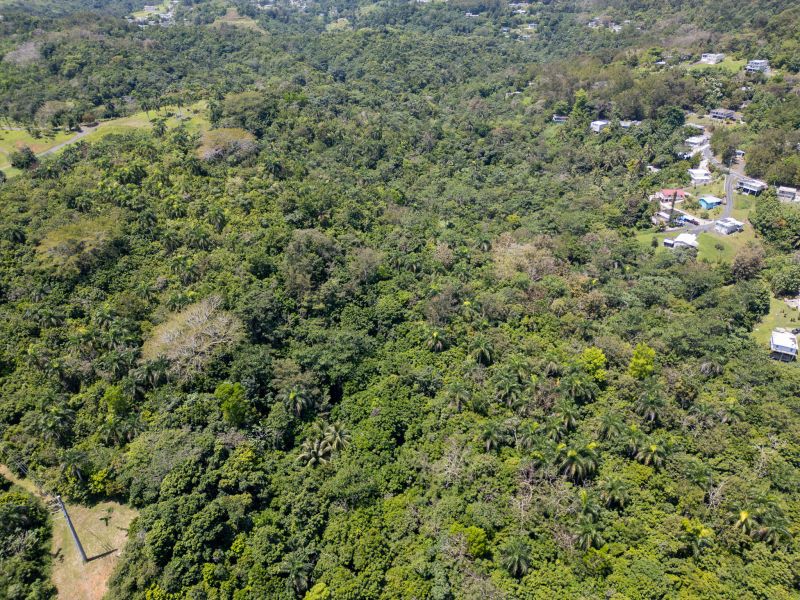 Bo Galateo Carr 165 Km 7.3 Toa Alta 00953 PR