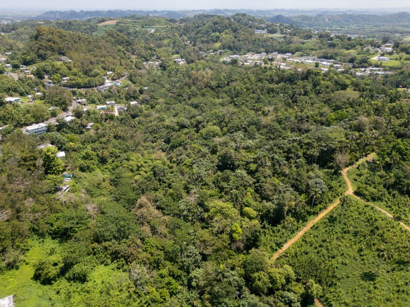 Bo Galateo Carr 165 Km 7.3 Toa Alta 00953 PR