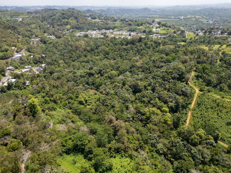 Bo Galateo Carr 165 Km 7.3 Toa Alta 00953 PR