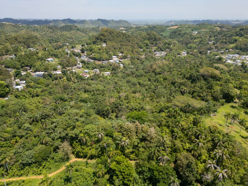 Bo Galateo Carr 165 Km 7.3 Toa Alta 00953 PR