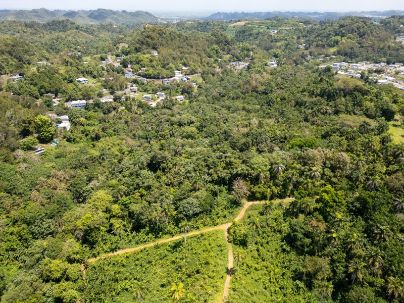 Bo Galateo Carr 165 Km 7.3 Toa Alta 00953 PR