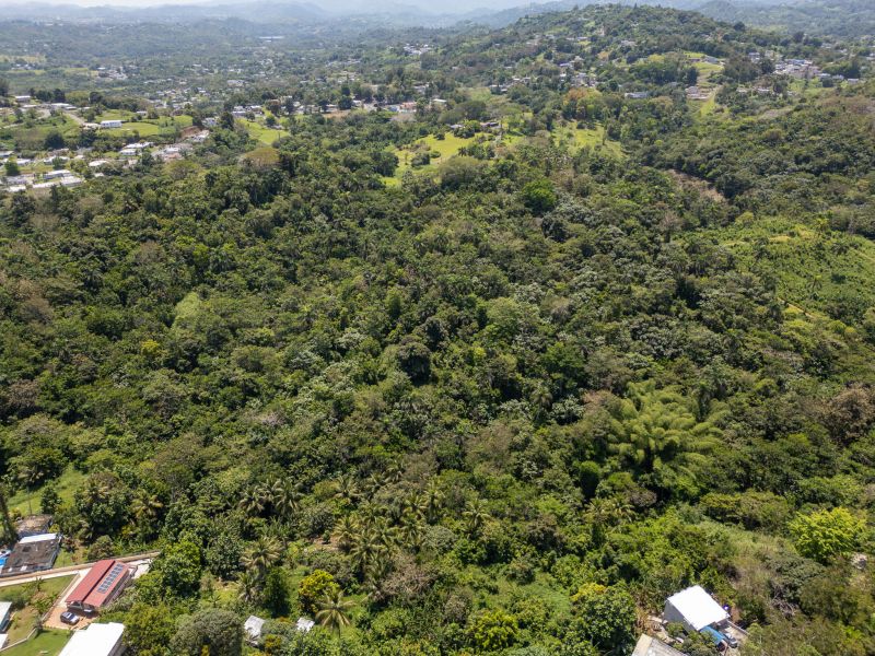 Bo Galateo Carr 165 Km 7.3 Toa Alta 00953 PR