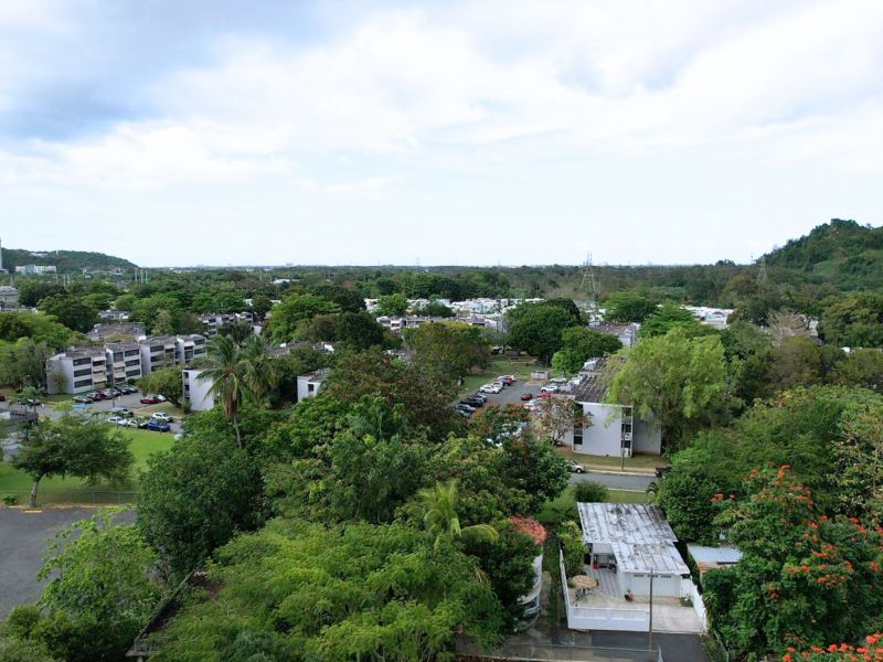 Num 19 Calle Ongay Bo Pueblo Bayamon 00961 PR