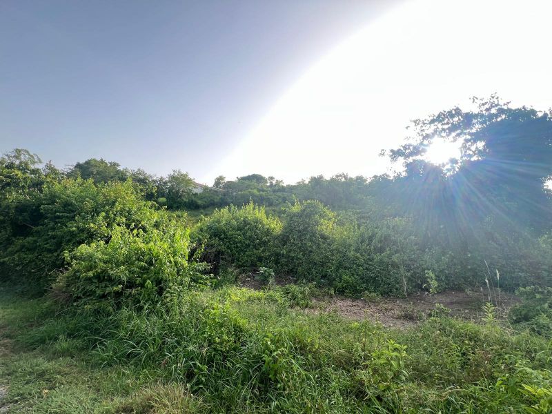 Carr 100 Km 11.01 Bo Pedernales Cabo Rojo 00623 PR