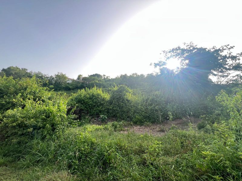 Carr 100 Km 11.01 Bo Pedernales Cabo Rojo 00623 PR