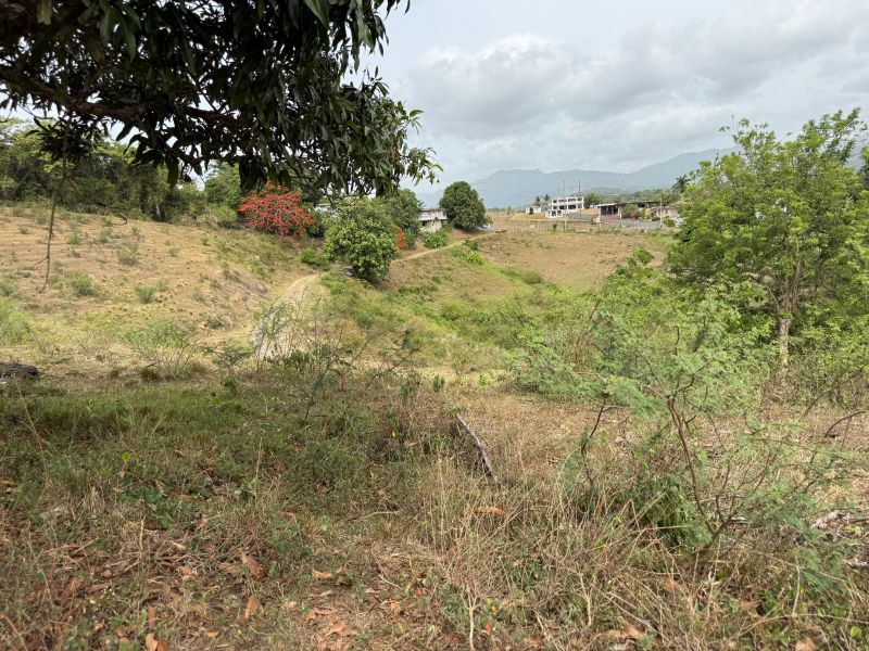Finca Sr 185 Km 3.0 Int Campo Rico Ward, Canovanas - 14