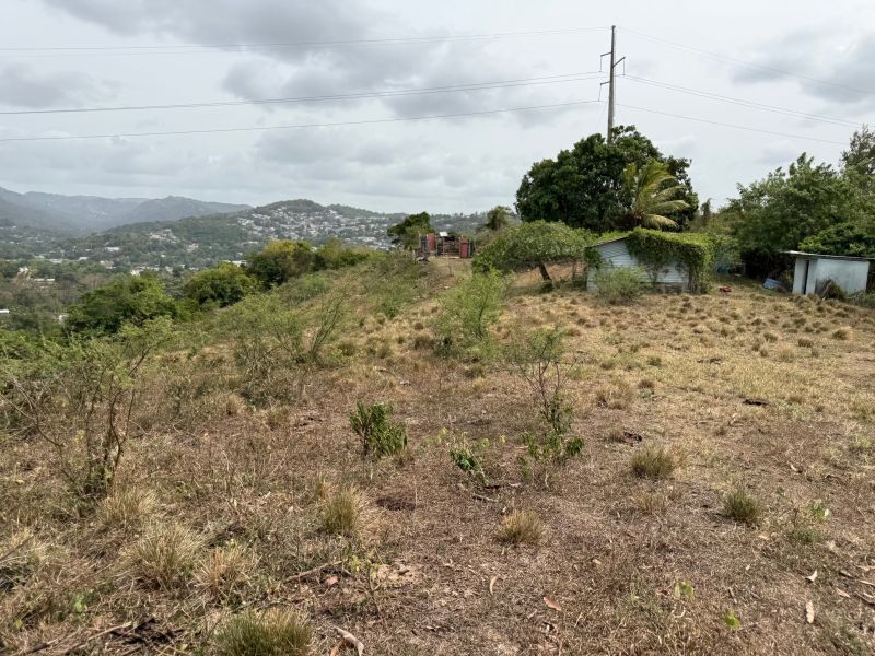 Finca Sr 185 Km 3.0 Int Campo Rico Ward, Canovanas - 6
