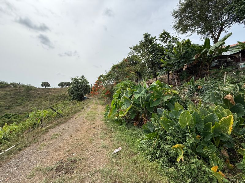 Finca Sr 185 Km 3.0 Int Campo Rico Ward, Canovanas - 20